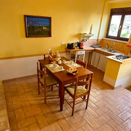 Domus Petrae